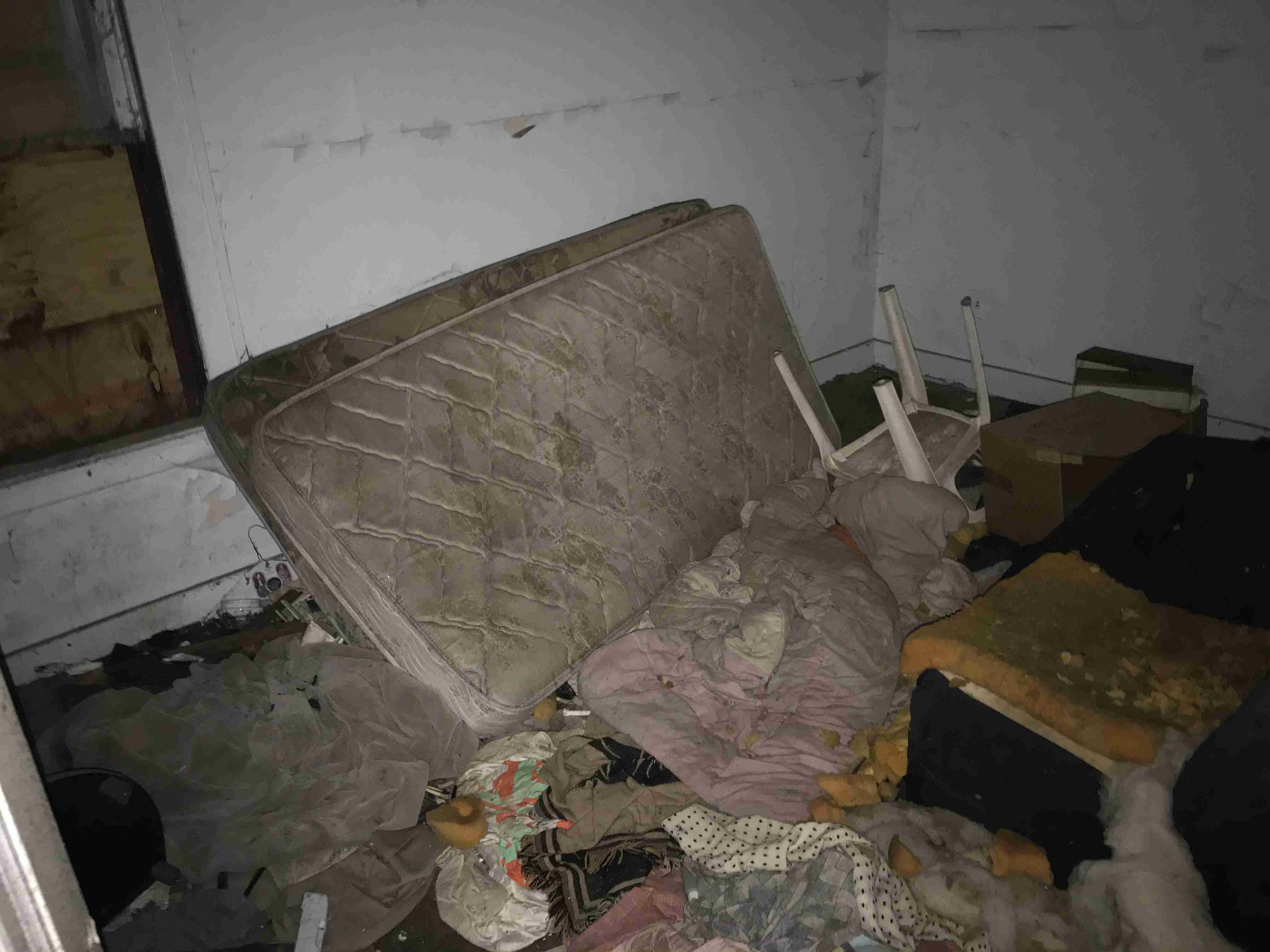 Photo Sep 10, 3 38 25 PM.jpg